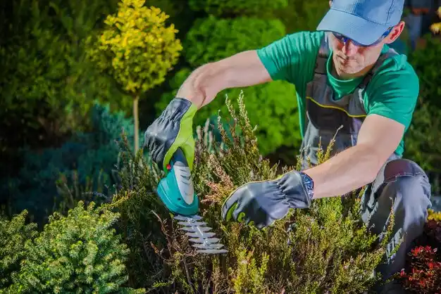 landscaping services Waggaman